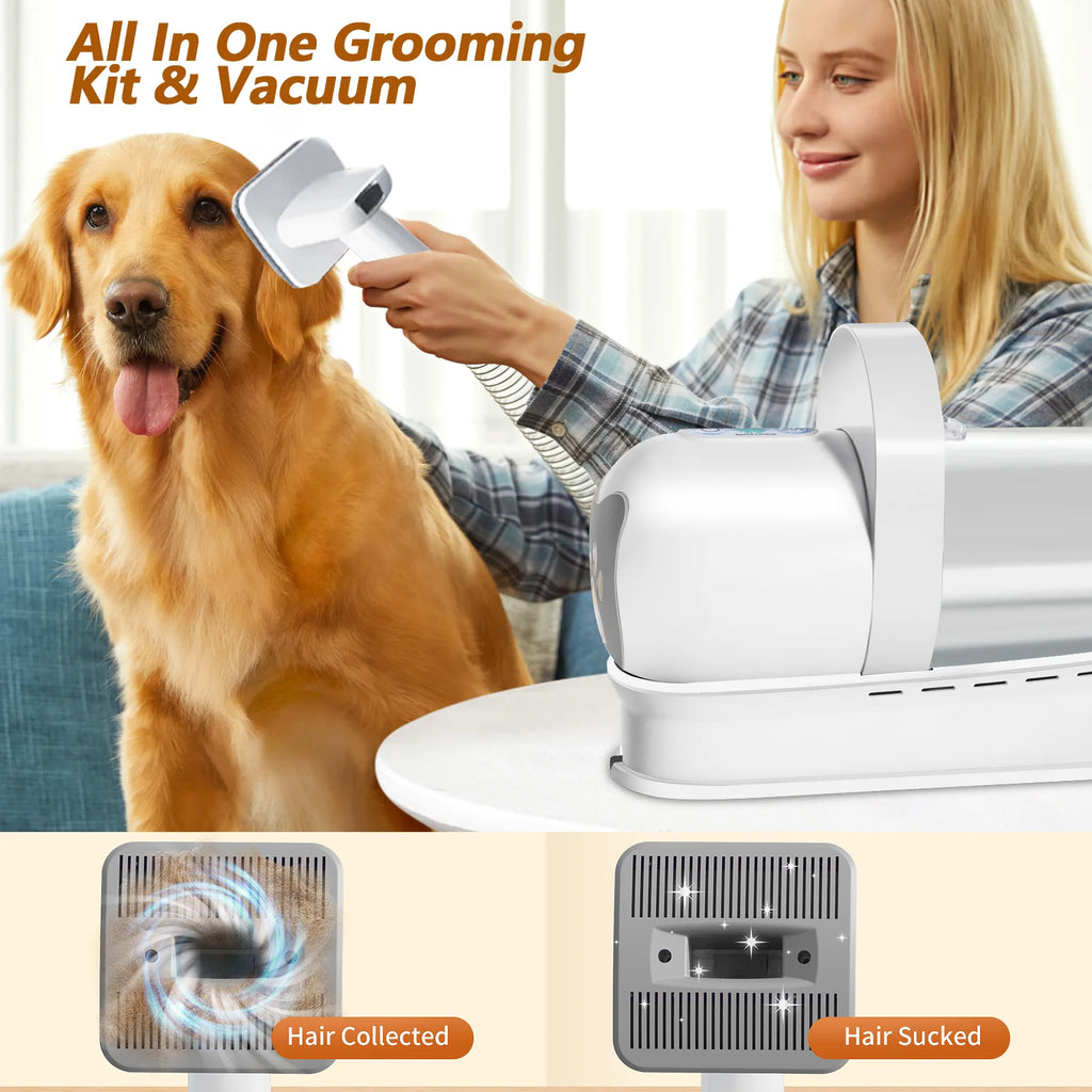 Aspiradora y Secadora 7 en 1 para Mascotas 400W | Kit Completo de Grooming